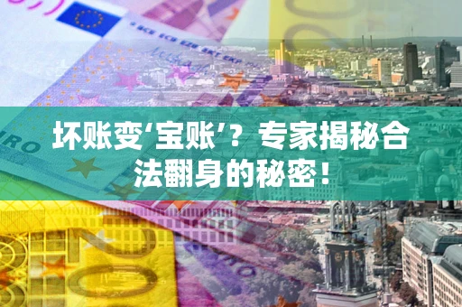 北京坏账变‘宝账’？专家揭秘合法翻身的秘密！