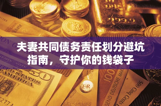 北京夫妻共同债务责任划分避坑指南，守护你的钱袋子